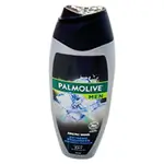 Palmolive Men Sh/gel Arctic W 500ml